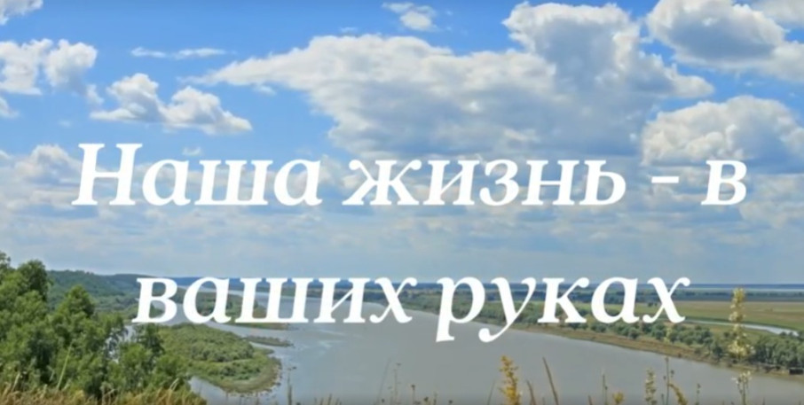 Наша жизнь - в ваших руках Наша жизнь - в ваших руках.